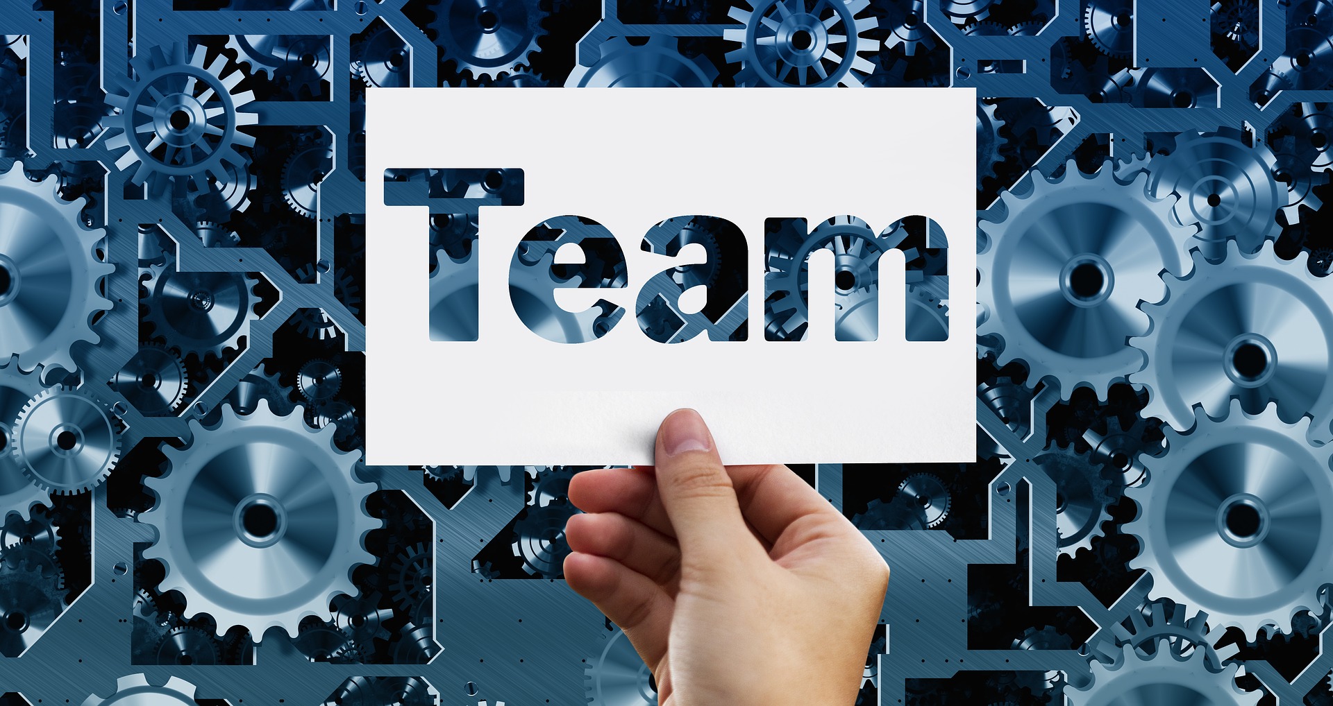 Werden Sie unser Partner Kooperationspartner, FIMAVO GmbH