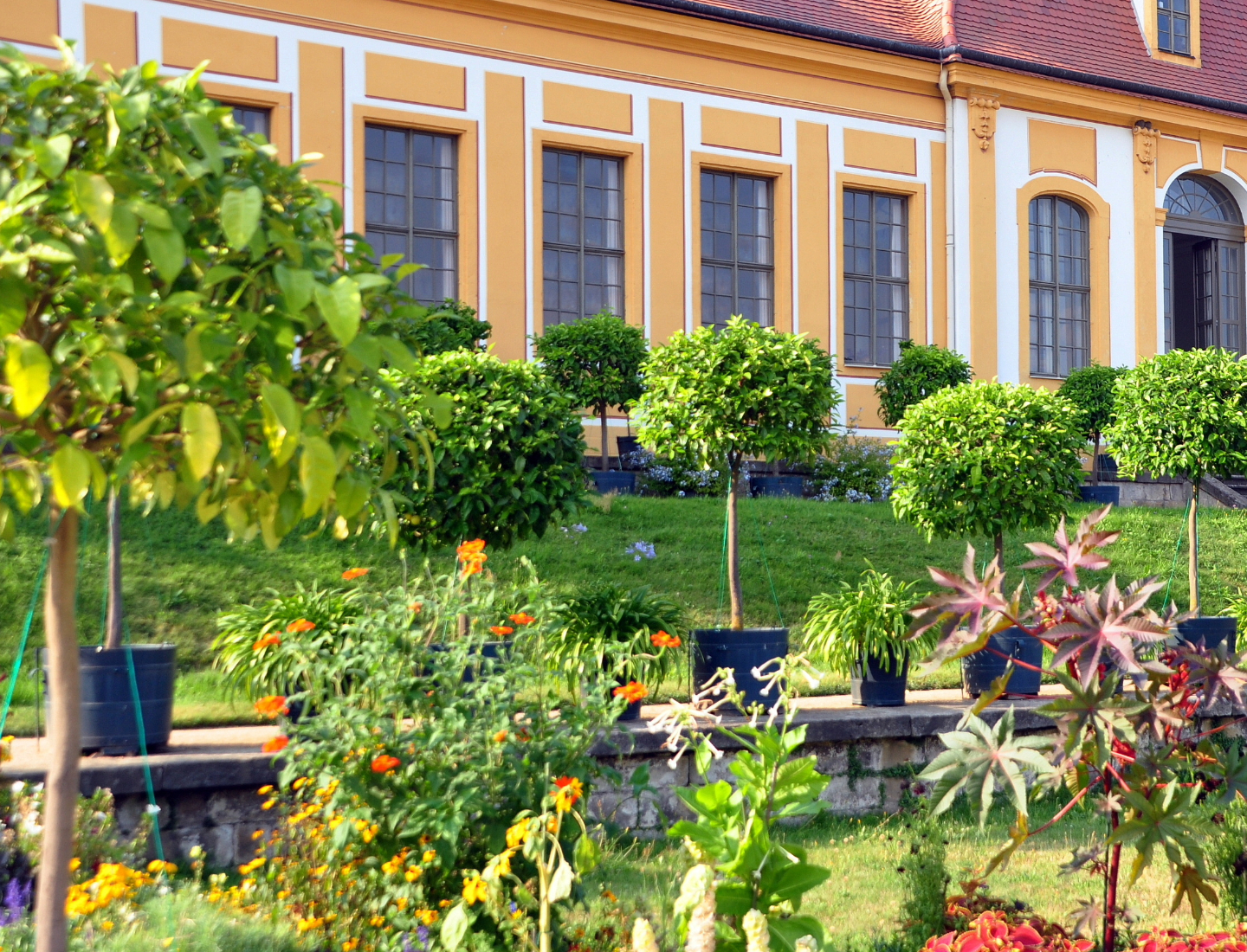 Immobilienmakler in Heidenau, FIMAVO GmbH