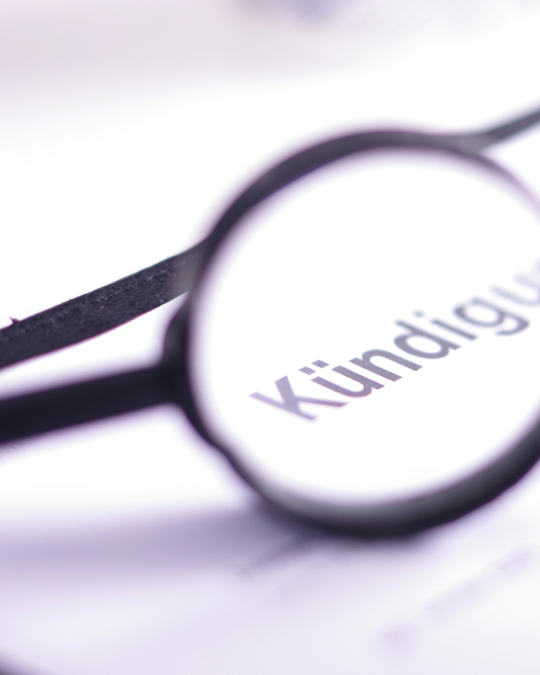 Ratgeber, FIMAVO GmbH