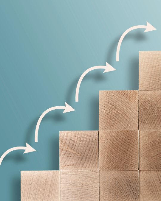 Ratgeber, FIMAVO GmbH