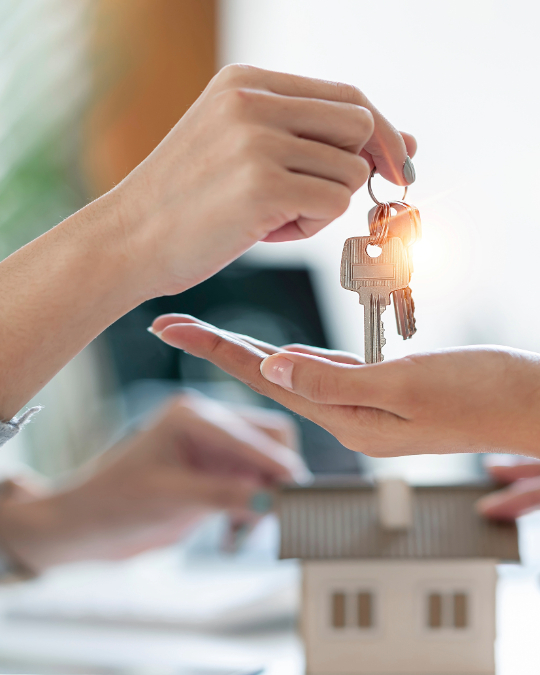 Ratgeber, FIMAVO GmbH