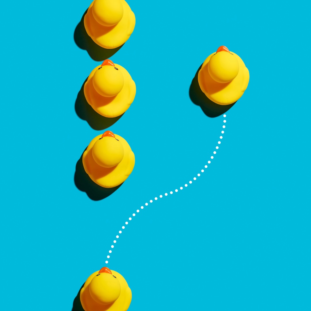 Immobilienmakler in Dresden, FIMAVO GmbH